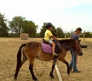 Exmoor mare ridden by  year old