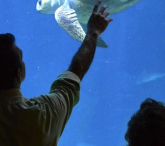 Adventure aquarium new jersey