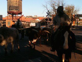 Stockyards station