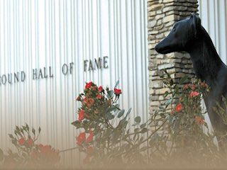 Greyhound hall of fame