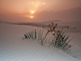 NewMexico_Image_