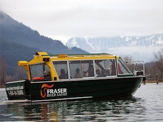 Fraser river safari