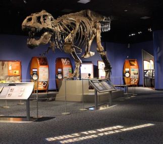 san diego natural history museum