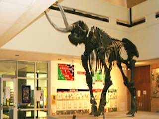 Arkansas state university museum