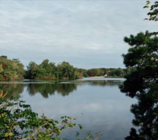 Parvin State Park