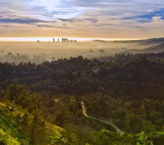 Griffith park