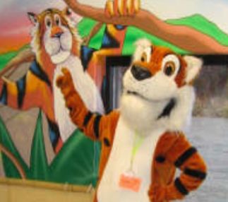 jungle playland indoor fun for kids washington state