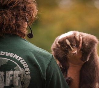 Animal adventures family zoo is home to orphaned and abandoned animals