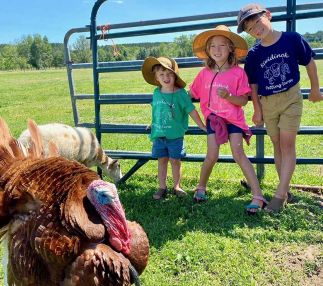 Kids on Kiwidinok Petting Farm