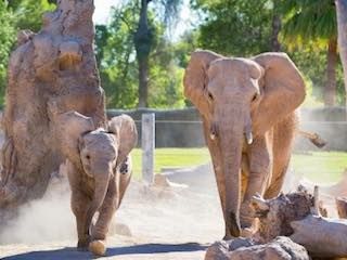 Reid park zoo