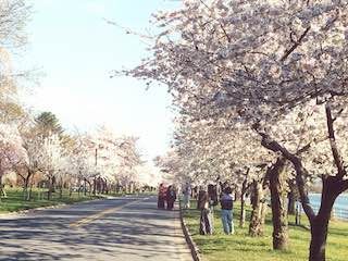 East potomac park