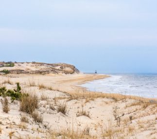 Cape henlopen state park
