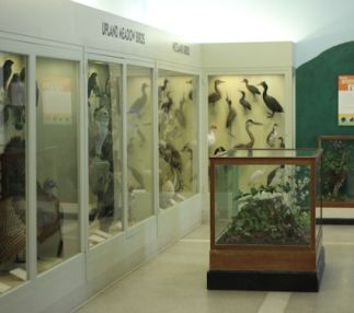  berkshire museum