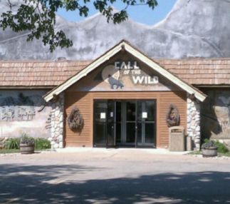 call of the wild museum michigan gaylord