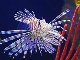 South florida science center aquarium