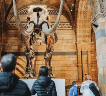 Museum visit
