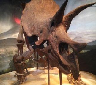 science museum of minnesota science fun for kids