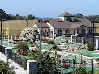 Emerald dolphin mini golf