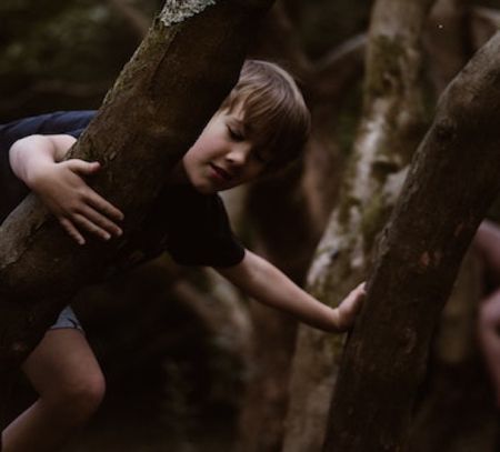 kids play in the woods