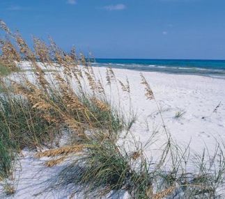 grayton beach state park florida outdoor beaches for kids