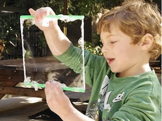 curiodyssey california zoo and science fun!