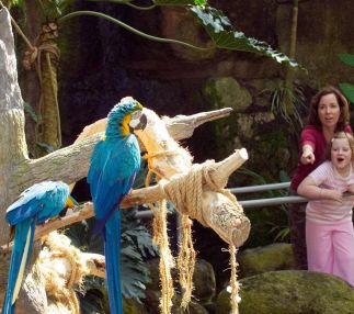 moody gardens texas