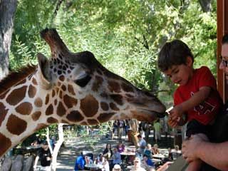 Sacramento zoo main
