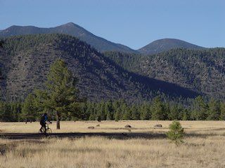 Buffalo park