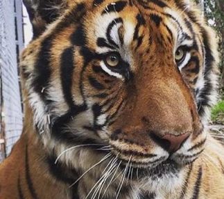 austin zoo