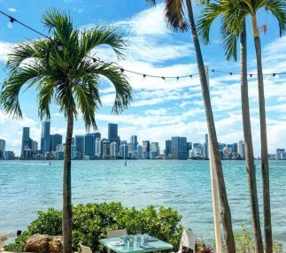 Miami Skyline