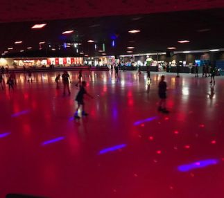 skateland west family fun center in michigan for roller skating for kids