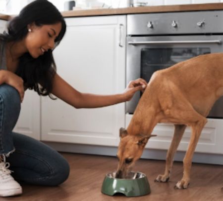 woman feeding dog