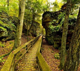 Beartown state park