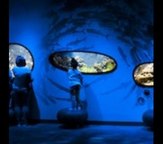 Discovery Place