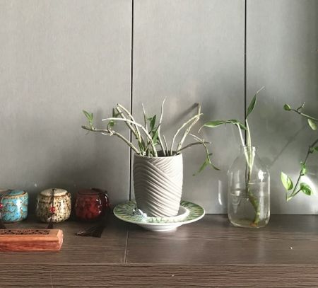 Cosy corner