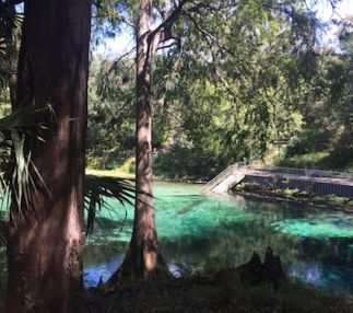 fanning springs state park florida natural springs adventure for kids
