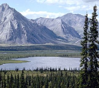 arctic wildlife refuge alaska outdoor adventure family day out things to do