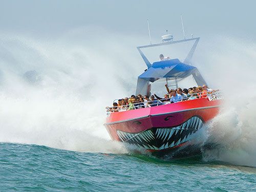 codzilla boat boston harbor cruises kids fun