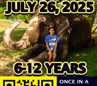 Kids Day Out Discount Code