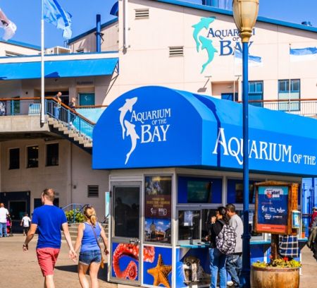 Aquarium Of The Bay in San Francisco!