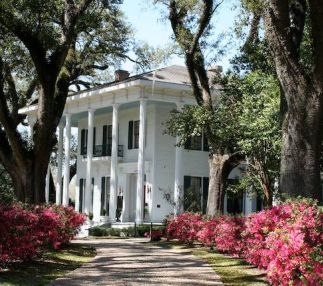 bragg mitchell museum mobile alabama