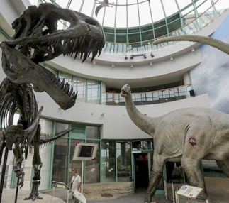 north carolina museum natural sciences