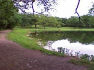 Lester lorch park