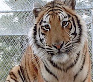 wilderness walk zoo wisconsin great animal fun for kids with maze farmyard and cafe