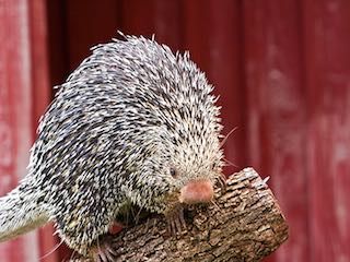 Fort worth zoo