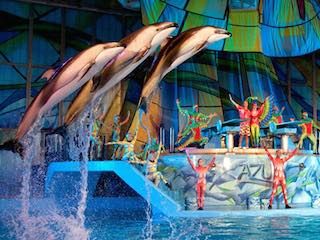 Seaworld san antonio