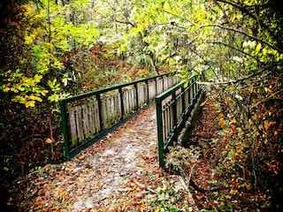 Cool creek park