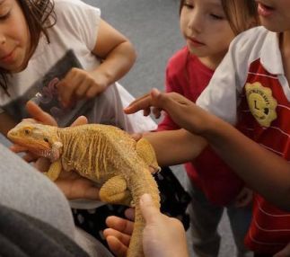 explorit science center davis california science fun for kids
