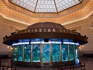 Shedd aquarium