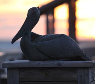 jeannettes pier